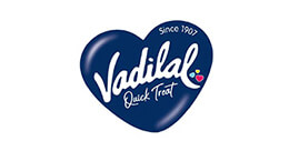 VADILAL INDUSTRIES USA INC